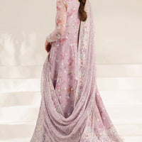 Lilly Passion