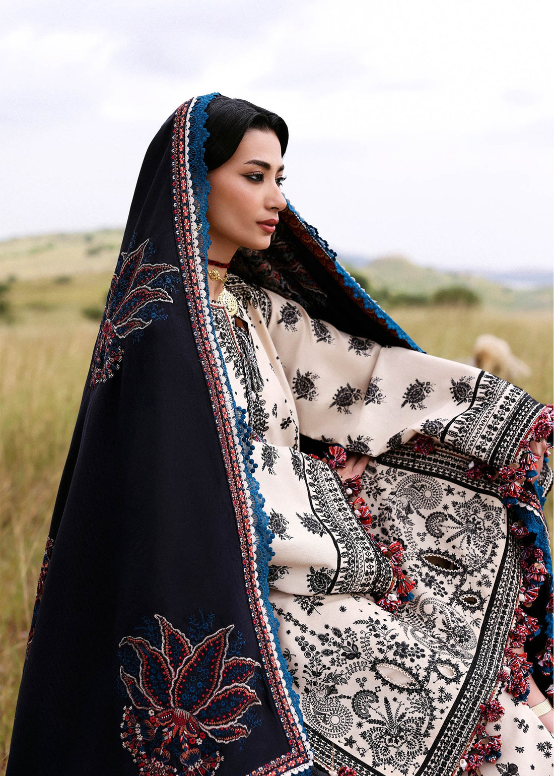 Dhanak